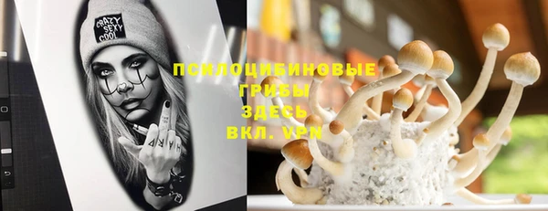 амф Фурманов