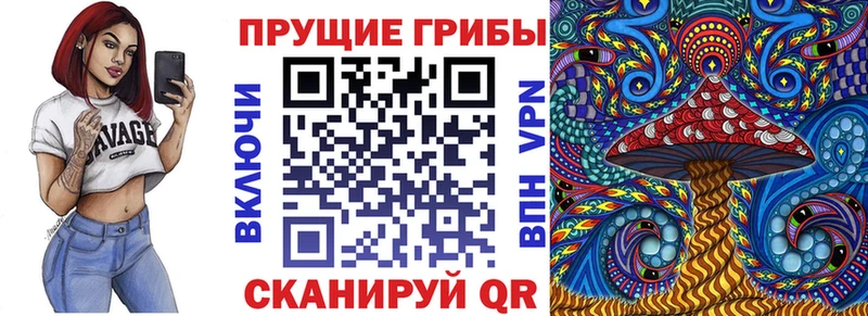 Галлюциногенные грибы мицелий  блэк спрут ССЫЛКА  Электроугли 